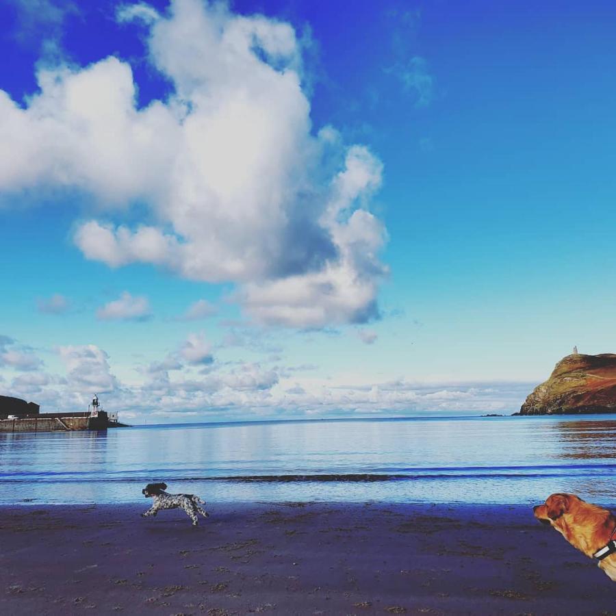 Gorgeous Cottage By Sandy Beach Dog Friendly Port Erin Exterior photo